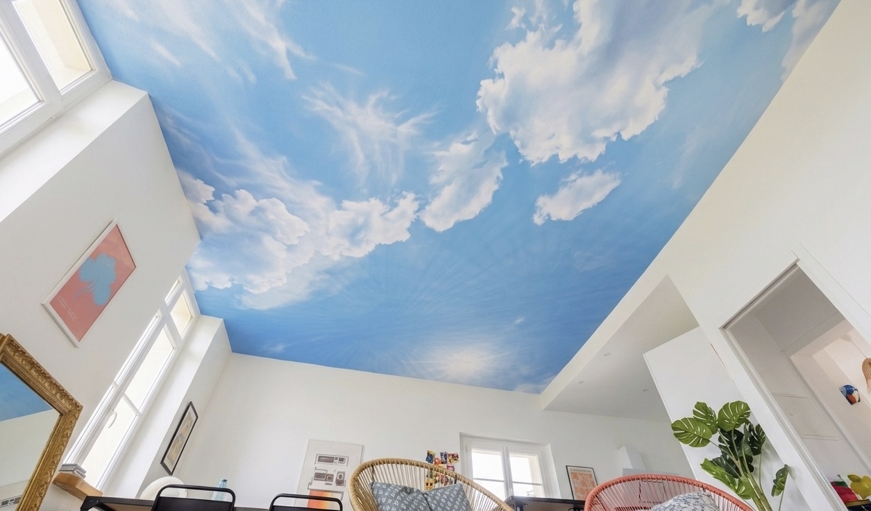 fresque ciel plafond biarritz