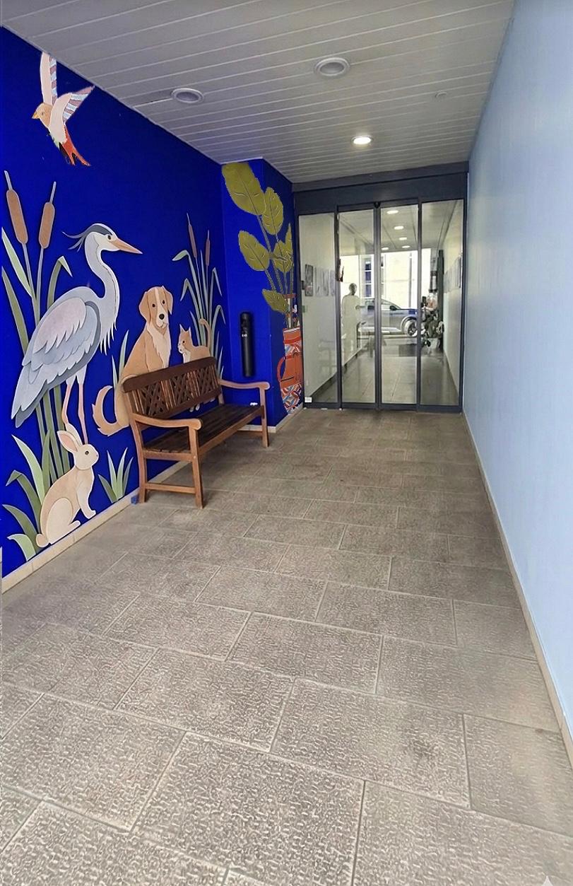 réalisation d’une fresque murale pour le hall d’un vétérinaire à bordeaux